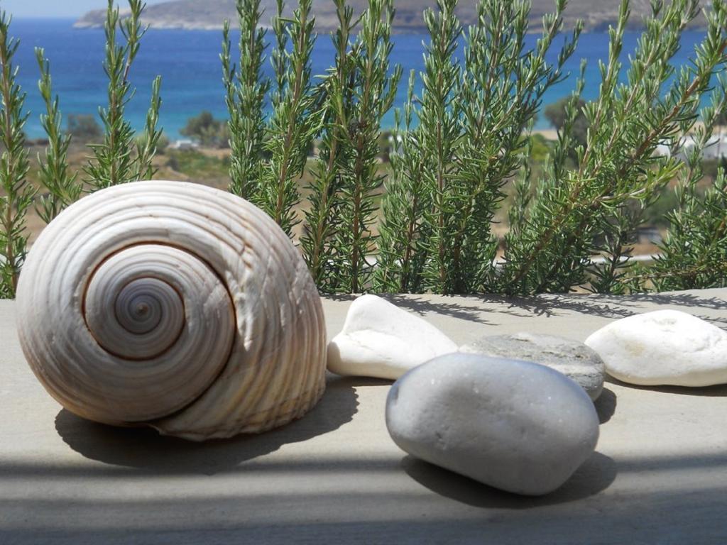 Serifos Dream Houses Near The Sea Ganema Номер фото